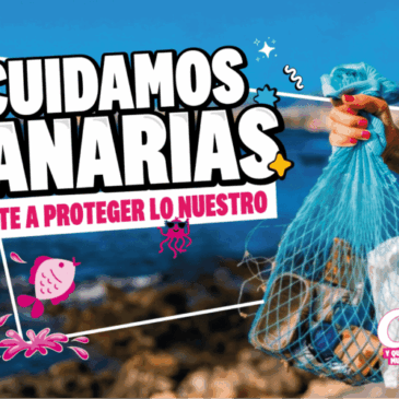 Clipper impulsa una nueva jornada de limpieza en la costa de Daute junto al cabildo de Tenerife y los ayuntamientos de Tenerife y Los Silos